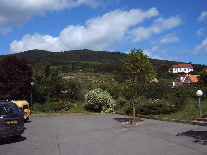 Restaurant Verger Des Chateaux, Route Des Vins Haut-koenigsbourg Hotel Dieffenthal
