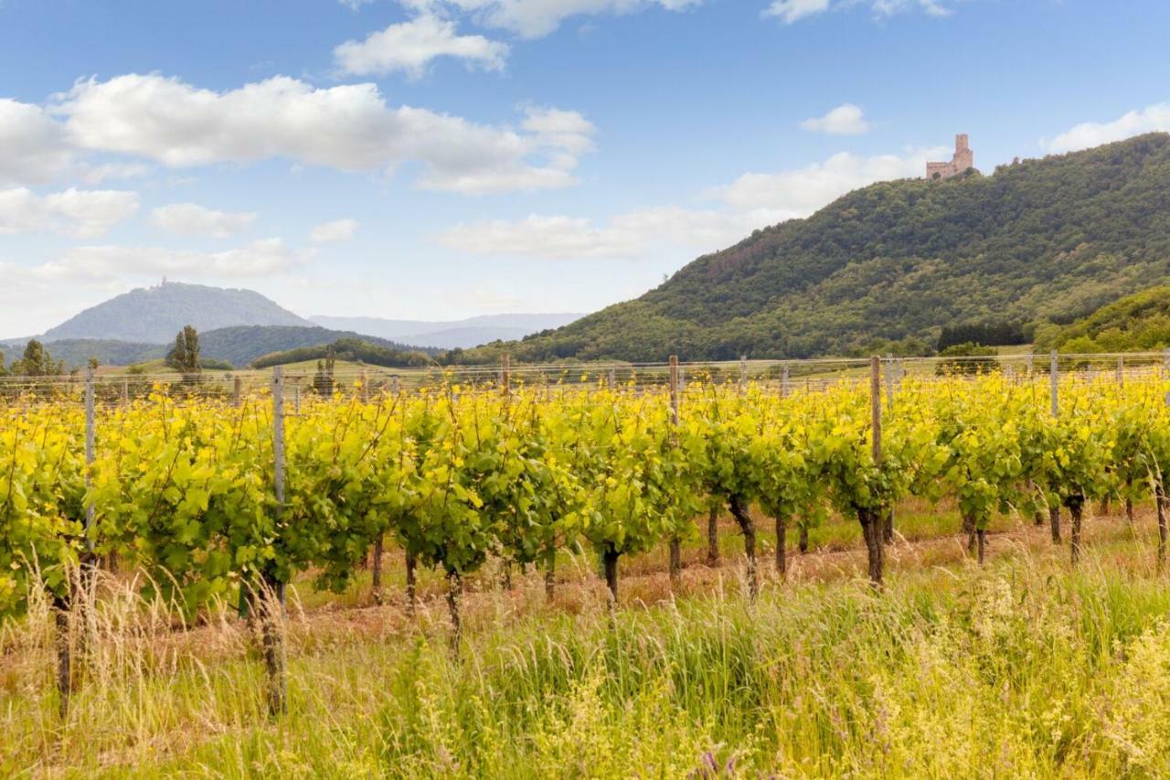 Restaurant Verger Des Chateaux, Route Des Vins Haut-koenigsbourg 3* Dieffenthal